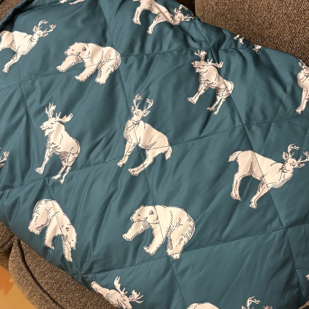 Eddie Bauer Oversized Down Throw - Teal with animal print